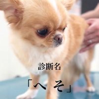 診断名は…へそ！！