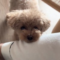 新生活がスタート