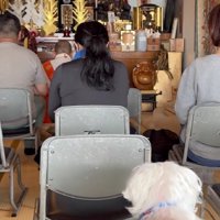 注意された子どものよう