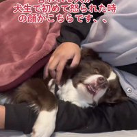 腕枕で寝るのがお気に入り