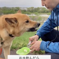 飲み終わったと思ったら…
