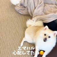 お兄ちゃんが帰宅時のエマくん＆ハルくん⑩