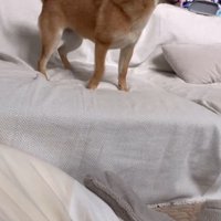 らむねちゃんとお姉ちゃんの再会4