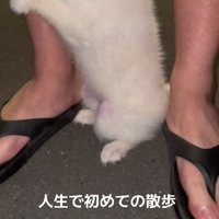 外が怖くて…