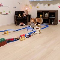 動き出す貨物列車