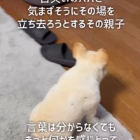 救いの手を差し伸べたのは…
