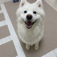 ニコニコ