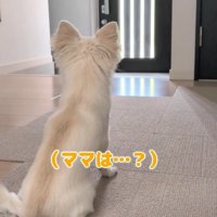 「もうすぐ帰ってくるかも」