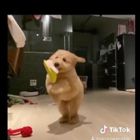 「ヒャッホー」