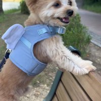 天使のような姿にキュン♡