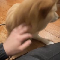 ザッ！