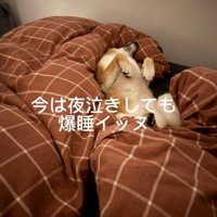 爆睡するおもちくん