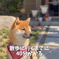 おすわりするうみくん