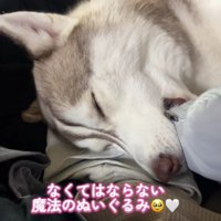 いつまでも見せてほしい…