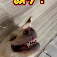 「涼しい～」