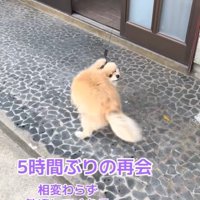 くるりっ♪