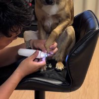 爪切りが大の苦手