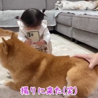 シャッターチャンス！！