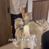 「おかえりー！」