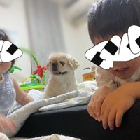 きょうだい
