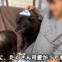 ママさんが実家に行く前の様子