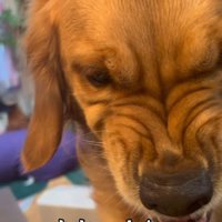 嫌いなものは嫌い！