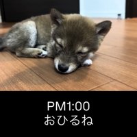 床に寝そべって眠る子犬