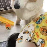 暴れる男の子