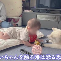 あいちゃんに手を伸ばします