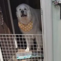 スタイが愛おしい…