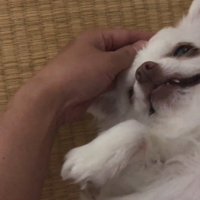 「一緒にお風呂に入ろう」と誘ったら…