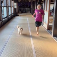 廊下を走る犬と人