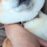 気持ちよさそうにスヤスヤ
