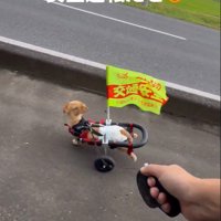 道路をチラ見して安全確認