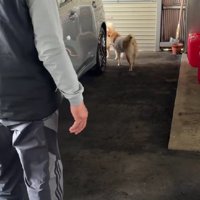 するりと逃げて…