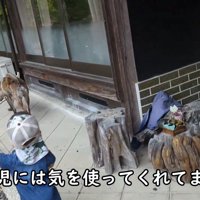 お家に入らず、ウロウロ…