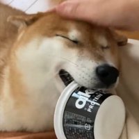 笑顔