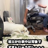 仕事中も一緒です