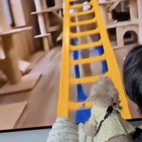 「ジェットコースターを楽しむぞ」