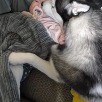 諭吉くんと赤ちゃん6