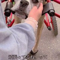 「よく頑張ってるね」