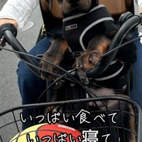 まるで人間の子供みたい♡