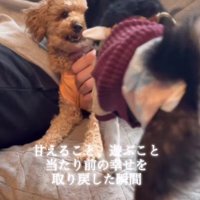 一緒に遊ぶって楽しい♪