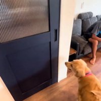 そわそわするエルちゃん