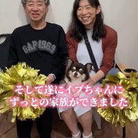 イブちゃんが幸せを掴むまで7