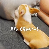 突然オナラが！！