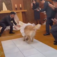 新郎新婦の元へ