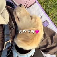 赤ちゃん感が愛おしい♡