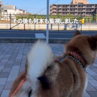 どこか誇らしげ！？