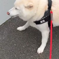 突然のスン…